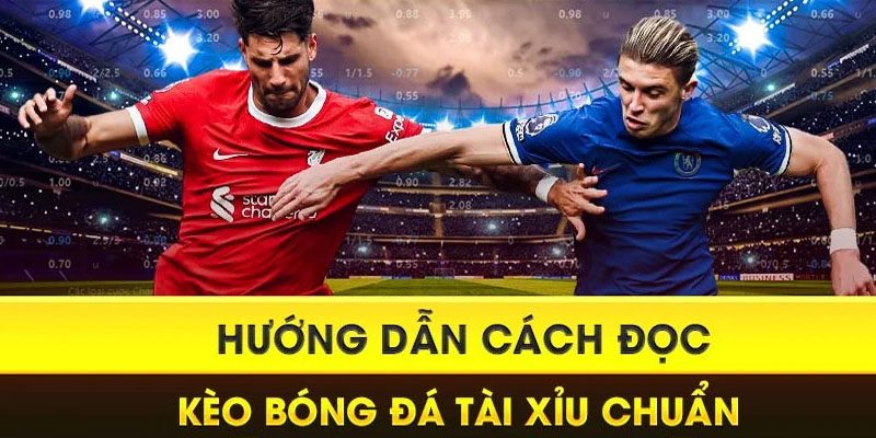 Các chú ý khi đọc kèo đá banh tại nhà cái 188BET